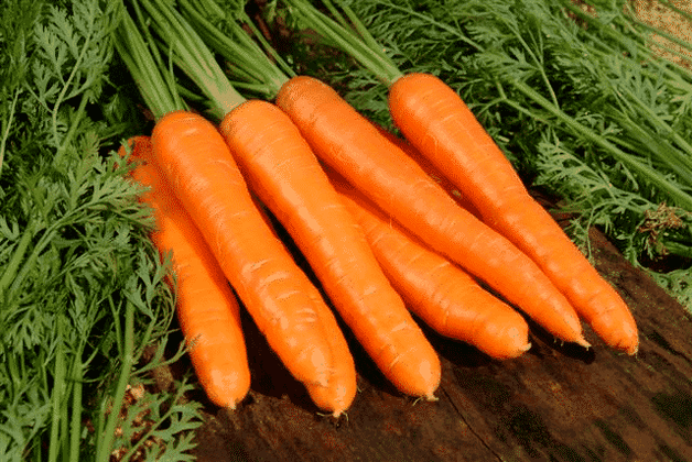 Carrots are a popular folk remedy for androgenicity. 