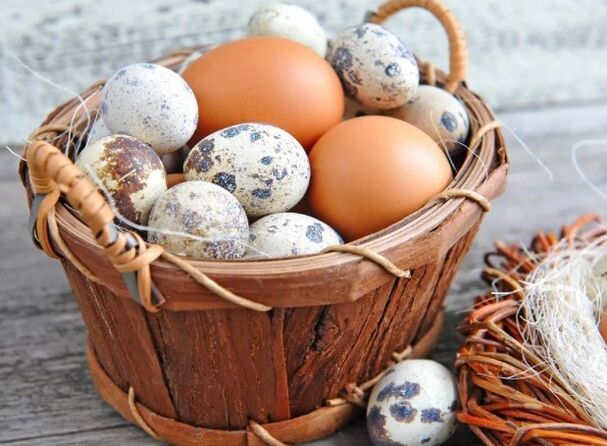 Quail or egg