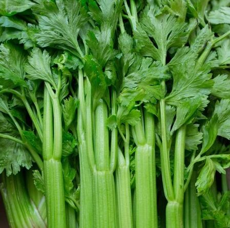 celery