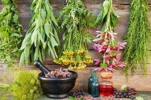 The efficacy of herbs