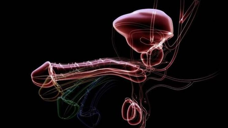 Why do men have discharge when they are excited Is it normal